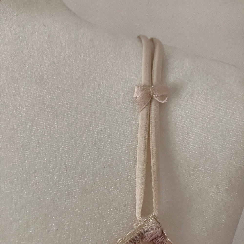 NEW ROSES & LACE LINGERIE - Picture 5 of 15